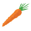 carrot